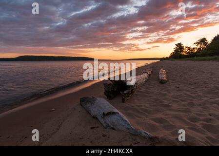 Alba riflessa su spiaggia di sabbia bagnata con onde in arrivo, gabbiano e tronchi. Foto Stock