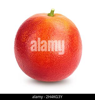 Arance rosse di sangue isolate su sfondo bianco con tracciato di ritaglio e profondità di campo completa Foto Stock