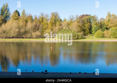 Riserva di Edgbaston a Birmingham in un giorno d'autunno soleggiato Foto Stock