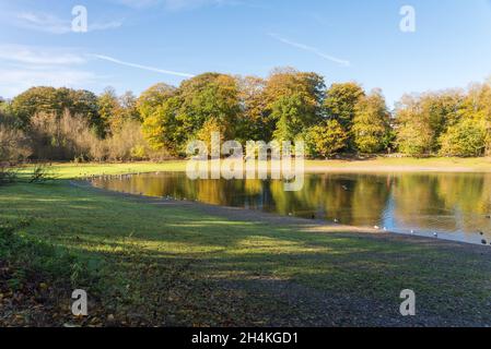 Riserva di Edgbaston a Birmingham in un giorno d'autunno soleggiato Foto Stock