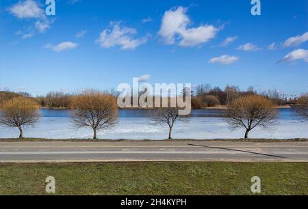 Alberi con corona circolare senza foglie lungo il lago, in primavera in tempo di sole Foto Stock