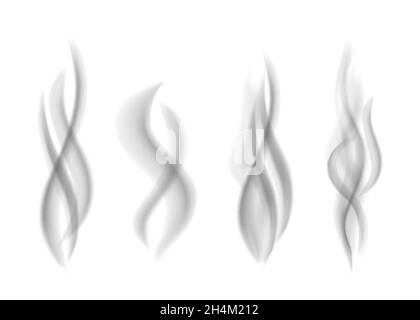 Fumo grigio isolato su sfondo bianco. Vapore scuro. Struttura vettoriale smog realistica. Illustrazione Vettoriale