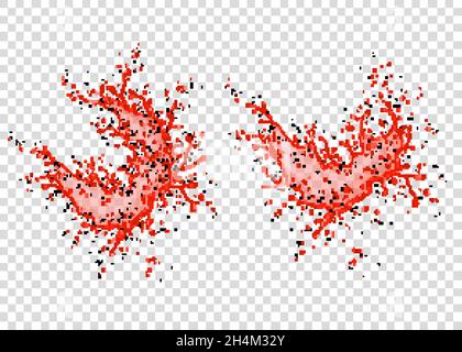 Succo di fragola, ciliegia, lampone o pomodoro spruzzato e gocce isolato su sfondo trasparente. Texture vettoriale realistica. Illustrazione Vettoriale