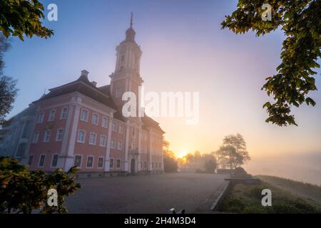 Alba a nebbia a Birnau su Bodensee, Germania Foto Stock