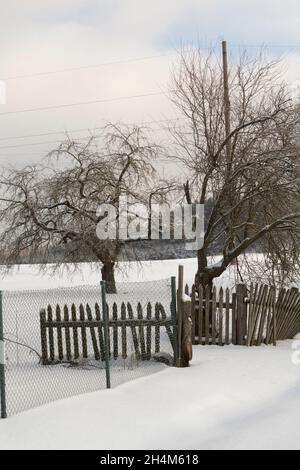 Strada rurale invernale e alberi nella neve. Giardino con recinzione. Immagine verticale Foto Stock