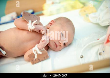 un neonato il primo giorno della nascita nell'ospedale di maternità. Foto Stock