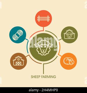 Icona di allevamento di pecore e infografica di agricoltura. Cartello dell'azienda agricola. Simbolo grafico per la progettazione del sito Web, il logo, l'app, l'interfaccia utente. Illustrazione vettoriale Illustrazione Vettoriale