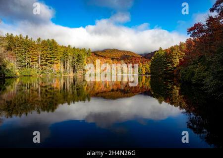 Autunno a colori riflessi al balsamo del lago - Roy Taylor della foresta nel Nantahala National Forest, Canada, North Carolina, STATI UNITI D'AMERICA Foto Stock