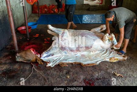 Un macellatore di cavalli che taglia la zampa posteriore da una carcassa di cavallo scuoiata. Cavallo di smembramento per la produzione di carne. Foto Stock