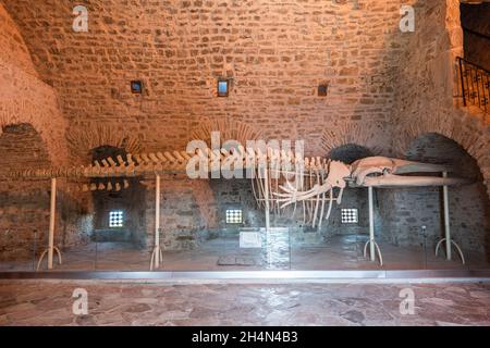 Kusadasi, Aydin, Turchia – 6 ottobre 2020. Vista interna del castello di Kusadasi con scheletro di una balena finback (Baleoneptera physalus) che ha colpito il Foto Stock