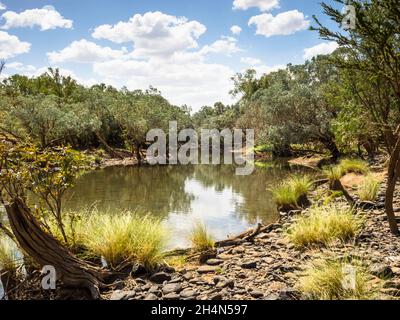 Billabong sul fiume Fitzroy in stagione secca, Mornington, il Kimberley, Australia Occidentale Foto Stock