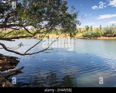 Billabong sul fiume Fitzroy in stagione secca, Mornington, il Kimberley, Australia Occidentale Foto Stock