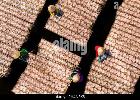 I lavoratori stanno asciugando il pesce della testa di serpente su un palo di bambù Foto Stock