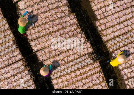 I lavoratori stanno asciugando il pesce della testa di serpente su un palo di bambù Foto Stock