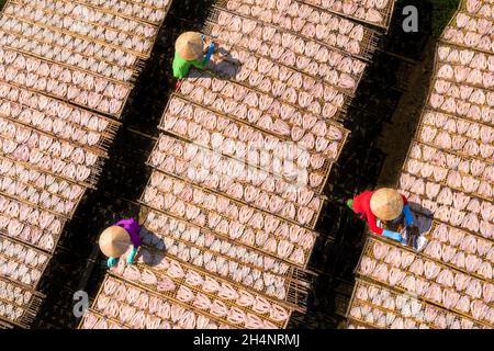 I lavoratori stanno asciugando il pesce della testa di serpente su un palo di bambù Foto Stock