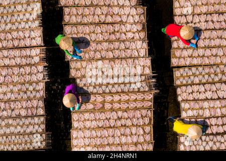 I lavoratori stanno asciugando il pesce della testa di serpente su un palo di bambù Foto Stock