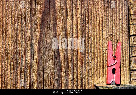 Un chiodo di garofano rosso su uno sfondo di legno marrone Foto Stock