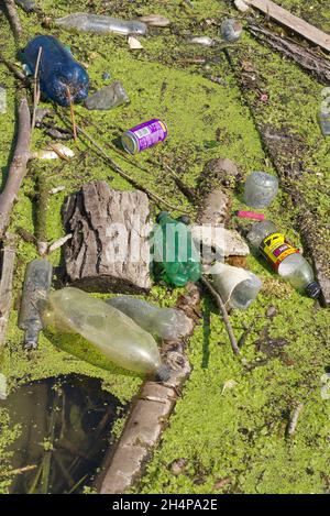 Orribile spazzatura galleggiante sul Tamigi. Fortunatamente, non è una vista comune in questi giorni. Nella mitigazione, questo eyesore si è sviluppato in una st stagnante, riparata Foto Stock