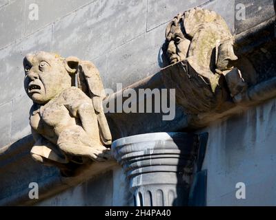 Gargoyles di Magdalen. Magdalen è uno dei più grandi e antichi college dell'Università di Oxford. Ha anche la sua fa molto propria, stravagante e fantasiosa Foto Stock