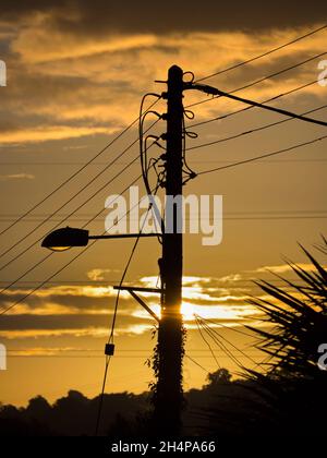 Qui vediamo palo che porta una luce di strada e cavi assortiti sulla mia passeggiata attraverso Lower Radley fino al Tamigi; è tutto illuminato da un incandescente Au tardi Foto Stock