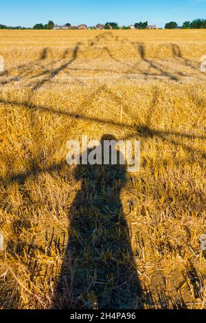 Amo i piloni elettrici; trovo le loro forme astratte e gaunt infinitamente affascinanti. Qui vediamo ombre gettate da un grande pilone in un campo in Ra rurale Foto Stock