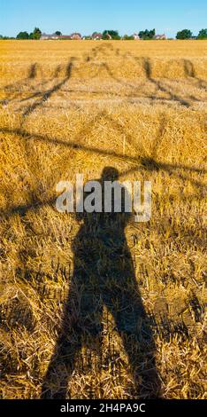 Amo i piloni elettrici; trovo le loro forme astratte e gaunt infinitamente affascinanti. Qui vediamo ombre gettate da un grande pilone in un campo in Ra rurale Foto Stock