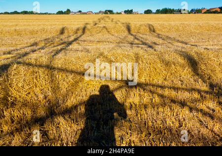 Amo i piloni elettrici; trovo le loro forme astratte e gaunt infinitamente affascinanti. Qui vediamo ombre gettate da un grande pilone in un campo in Ra rurale Foto Stock