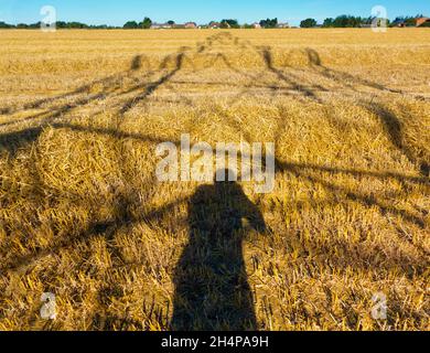 Amo i piloni elettrici; trovo le loro forme astratte e gaunt infinitamente affascinanti. Qui vediamo ombre gettate da un grande pilone in un campo in Ra rurale Foto Stock