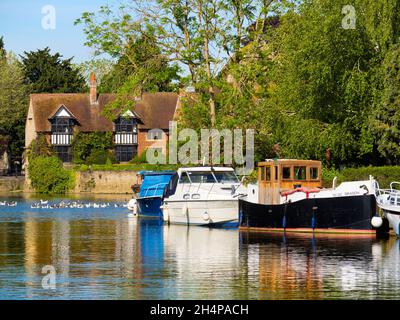 Abingdon afferma di essere la città più antica dell'Inghilterra. E il Tamigi scorre attraverso il suo cuore. Qui vediamo una linea di barche da diporto ormeggiate dai suoi medi Foto Stock