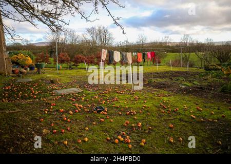 I vestiti sono appesi fuori per asciugare nel sole di inverno sulla linea di lavaggio di una fattoria in Armoy (vicino ai bordi oscuri), Co. Antrim, Irlanda del Nord. Foto Stock