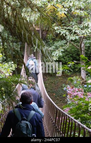 Cornovaglia turisti - persone che attraversano il ponte di corda nella sezione 'giungla', i Giardini perduti di Heligan, Cornovaglia UK; esempio di staycation UK Foto Stock