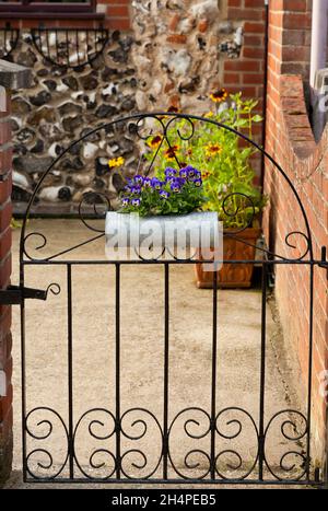 Un cancello cortile con fiori di Viola Foto Stock