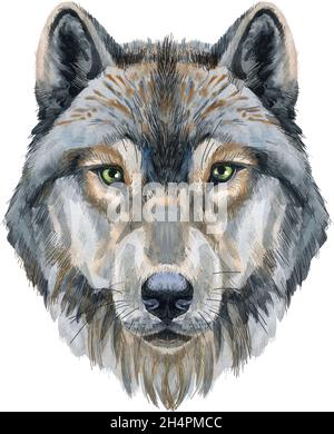 Disegno Testa Di Lupo Arrabbiato