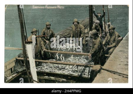 Originale cartolina colorata dei primi del 1900 di pescatori che svuotano i pilchards (sardine) dalle reti, (possibilmente reti della senna) serie di Argall, circa 1910 - Cornovaglia. Foto Stock