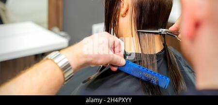 Il parrucchiere maschile taglia i capelli del cliente femminile con le forbici e pettine in un salone di bellezza Foto Stock