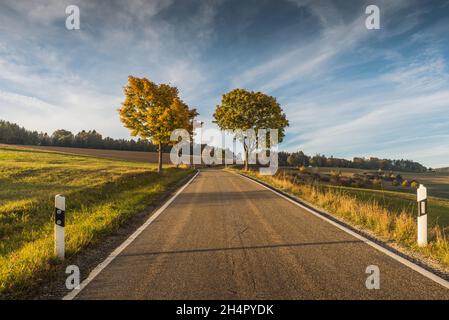 Strada di campagna nel paesaggio autunnale Hegau Foto Stock