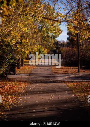 Colori autunnali lungo un percorso a piedi a Calgary, Alberta, Canada Foto Stock