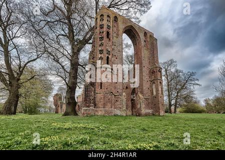 Monastero rovina Eldena Beat Greifswald in Germania Foto Stock