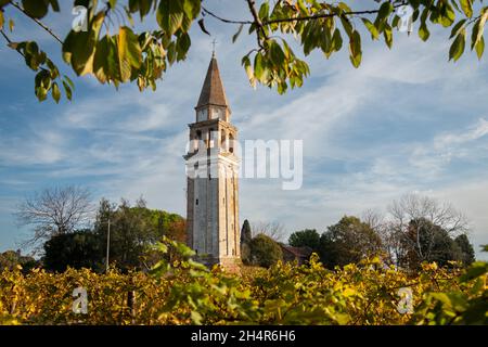 Campanile di Sant Angelo sull'isola di Mazzorbo vicino Burano (Venezia, Italia) in una giornata di sole in autunno, foglie colorate Foto Stock