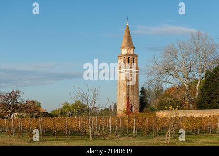 Campanile di Sant Angelo sull'isola di Mazzorbo vicino Burano (Venezia, Italia) in una giornata di sole in autunno, foglie colorate Foto Stock