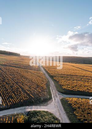 Sentiero del vino, strada di campagna e vigneti di Chablis. Borgogna, Francia Foto Stock