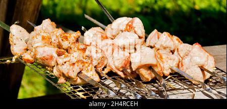 Sgranate il kebab del maiale con il mix di spezie sugli spiedini sul vecchio grill Foto Stock