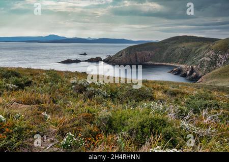 Faro di Cape Bruny, Tasmania, Australia Foto Stock