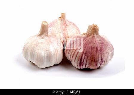 tre teste d'aglio isolate su sfondo bianco. Foto Stock