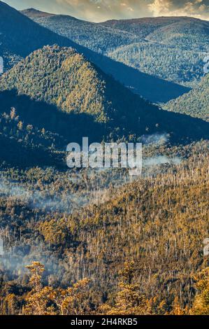 Deserto della Tasmania, al largo della Gordon River Road, Tasmania, Australia Foto Stock