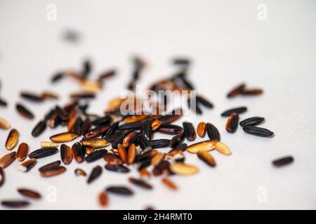 Grani di riso selvatico biologico su sfondo bianco, macroschiata Foto Stock
