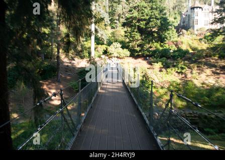 Vista sul ponte di ferro a Cragside, Rothbury, Northumberland, Inghilterra, Regno Unito, Regno Unito Foto Stock