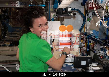 L'astronauta della NASA e la spedizione 65 l'ingegnere di volo Megan McArthur lavora allo studio di botany dello spazio di gestione dell'acqua della pianta che esplora l'idroponica di funzionamento in microgravità e può anche migliorare i sistemi di irrigazione sulla terra il 27 luglio 2021. Credito: NASA via CNP Foto Stock