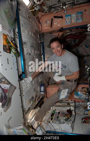 Astronauta della NASA e spedizione 65 tecnico di volo Megan McArthur raccoglie campioni microbici da superfici all'interno della Stazione spaziale Internazionale per l'analisi e il monitoraggio il 1 luglio 2021 credito: NASA via CNP Foto Stock