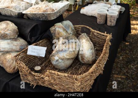 Il mercato agricolo di Port Royal, il sabato mattina, è da non perdere sia per la gente del posto che per i turisti quando si visita la contea di Beaufort, South Carolina. Foto Stock